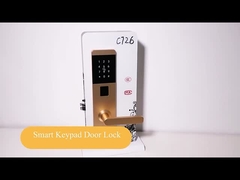 Aluminum Alloy Smart Home Password Door Locks with TT Lock App
