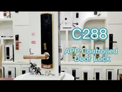 Zinc Alloy apartment electronic door locks With Password TTlock Tuya App