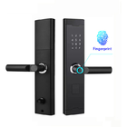 Security Biometric Smart Fingerprint Door Lock Aluminum Alloy For Front Door
