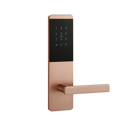 Electronic App Controlled Lock Security Password Digital Key Apartment Smart Door Lock