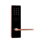 Wireless Smart Keypad Door Lock 300mm Home App Access Control