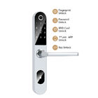 APP Control Digital TTlock Door Lock Smart Fingerprint 6V For Home