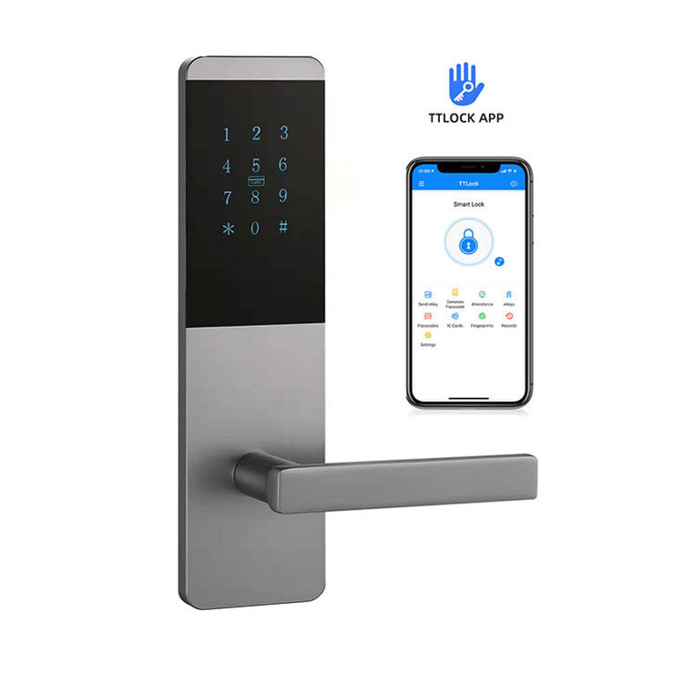 APP Electric Password Smart Lock OEM Anti Theft Door Lock