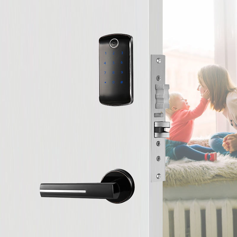 Apartment Home Digital Door Lock Smart Intelligent Lock with Electric Card TT Lock APP