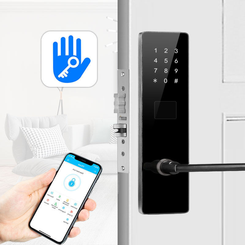 Black Color Bluetooth TTlock Password Electronic Smart Door Locks for Apartment Home