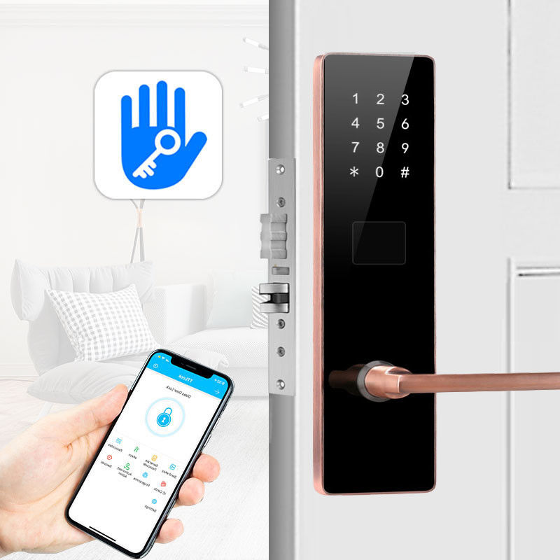 OEM Apartment Smart Door Lock Mortise Digital Main Door Lock