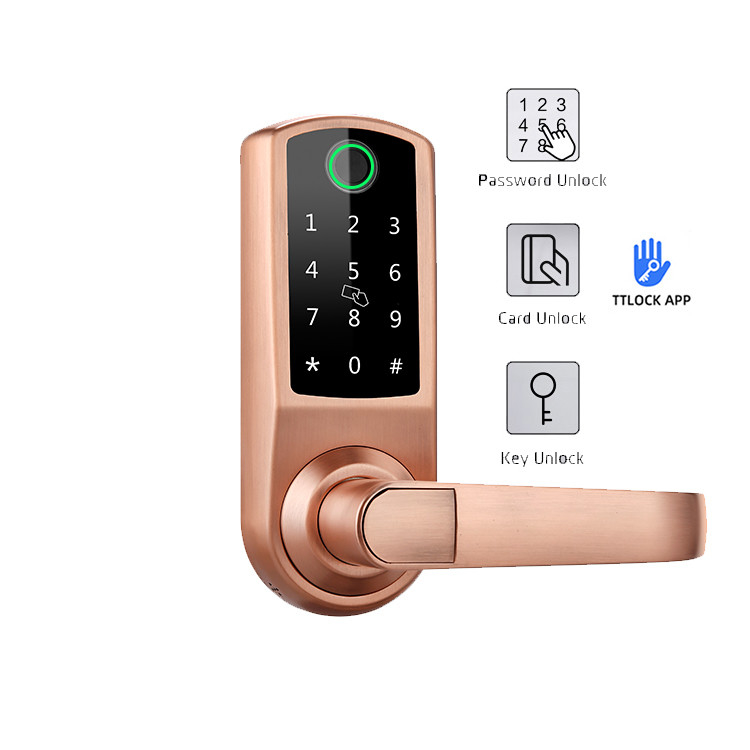 Keypad Biometric Fingerprint Door Lock 120mm Thickness With App