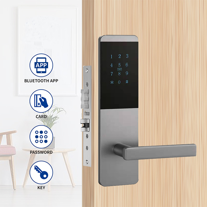 4 in 1 Aluminum Alloy Apartment Smart TTlock Door Lock with Touch Keypad