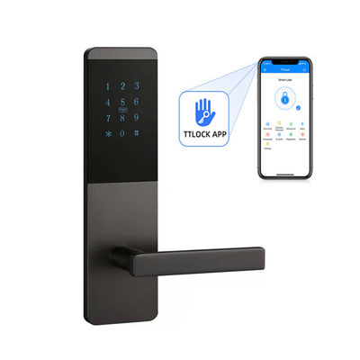 Aluminum Alloy Smart App Controlled Door Locks With Touch Keypad